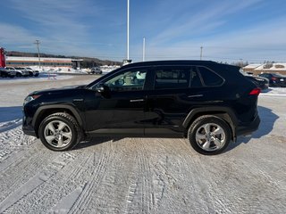 2021 Toyota RAV4 Hybrid Limited in Grand Falls, New Brunswick - 6 - w320h240px