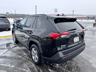 2022 Toyota RAV4 XLE in Grand Falls, New Brunswick - 6 - w320h240px