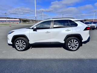 2023 Toyota RAV4 XLE PREMIUM in Grand Falls, New Brunswick - 6 - w320h240px