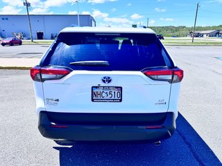 2023 Toyota RAV4 LE HYBRID in Grand Falls, New Brunswick - 3 - w320h240px