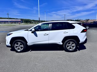 2023 Toyota RAV4 LE HYBRID in Grand Falls, New Brunswick - 5 - w320h240px