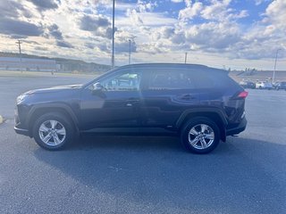2023 Toyota RAV4 Hybrid XLE in Grand Falls, New Brunswick - 6 - w320h240px