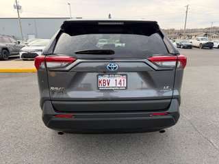 Toyota RAV4 Hybrid LE 2023 à Grand-Sault, Nouveau-Brunswick - 4 - w320h240px