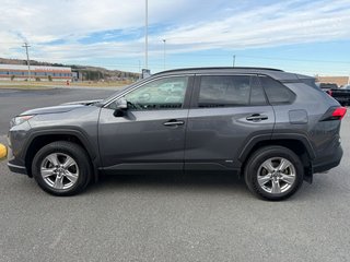 Toyota RAV4 Hybrid LE 2023 à Grand-Sault, Nouveau-Brunswick - 6 - w320h240px