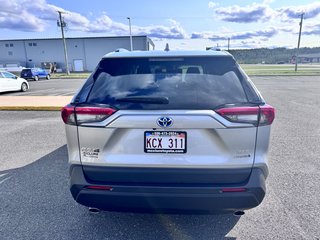 2024 Toyota RAV4 Hybrid XLE in Grand Falls, New Brunswick - 4 - w320h240px