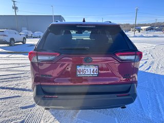 2024 Toyota RAV4 Hybrid XLE in Grand Falls, New Brunswick - 4 - w320h240px
