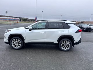 Toyota RAV4 XLE 2025 à Grand-Sault, Nouveau-Brunswick - 5 - w320h240px