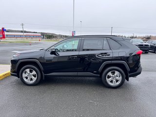 Toyota RAV4 Hybrid LE 2025 à Grand-Sault, Nouveau-Brunswick - 6 - w320h240px