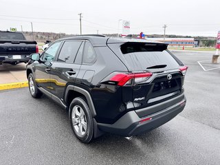 Toyota RAV4 Hybrid LE 2025 à Grand-Sault, Nouveau-Brunswick - 5 - w320h240px