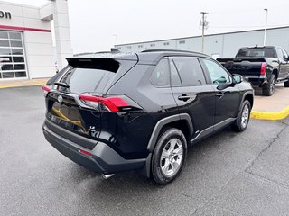 Toyota RAV4 Hybrid LE 2025 à Grand-Sault, Nouveau-Brunswick - 3 - w320h240px