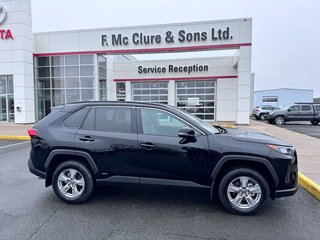 Toyota RAV4 Hybrid LE 2025 à Grand-Sault, Nouveau-Brunswick - 2 - w320h240px
