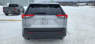 Toyota RAV4 XLE PREMIUM 2025 à Grand-Sault, Nouveau-Brunswick - 6 - w320h240px