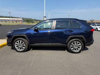 2025 Toyota RAV4 XLE in Grand Falls, New Brunswick - 6 - w320h240px