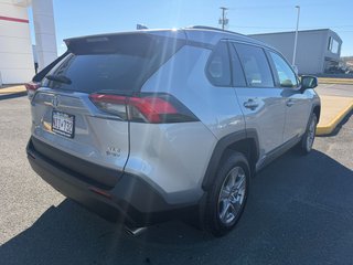 Toyota RAV4 Hybrid XLE 2025 à Grand-Sault, Nouveau-Brunswick - 3 - w320h240px