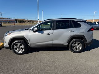 Toyota RAV4 Hybrid XLE 2025 à Grand-Sault, Nouveau-Brunswick - 6 - w320h240px