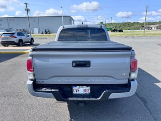 2020 Toyota Tacoma TRD OFF ROAD in Grand Falls, New Brunswick - 3 - w320h240px