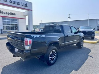 2022 Toyota Tacoma TRD SPORT in Grand Falls, New Brunswick - 3 - w320h240px