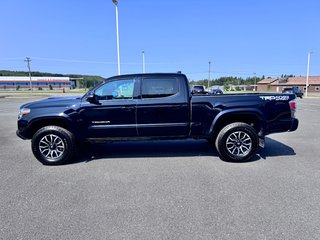 2022 Toyota Tacoma TRD SPORT in Grand Falls, New Brunswick - 6 - w320h240px
