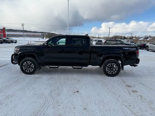 2023 Toyota Tacoma TRD SPORT PREMIUM in Grand Falls, New Brunswick - 6 - w320h240px