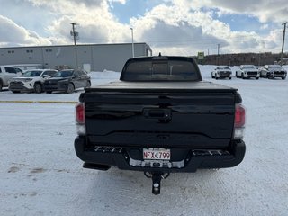 2023 Toyota Tacoma TRD SPORT PREMIUM in Grand Falls, New Brunswick - 4 - w320h240px