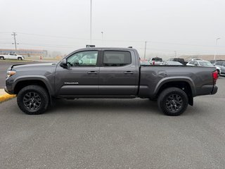 2023 Toyota Tacoma SR5 in Grand Falls, New Brunswick - 6 - w320h240px