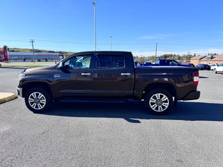 2018 Toyota Tundra Platinum in Grand Falls, New Brunswick - 6 - w320h240px