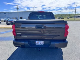 2018 Toyota Tundra Platinum in Grand Falls, New Brunswick - 4 - w320h240px