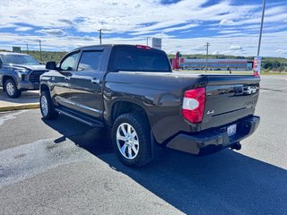 2018 Toyota Tundra Platinum in Grand Falls, New Brunswick - 5 - w320h240px