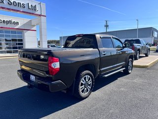 2018 Toyota Tundra Platinum in Grand Falls, New Brunswick - 3 - w320h240px