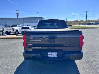 2018 Toyota Tundra Platinum in Grand Falls, New Brunswick - 4 - w320h240px