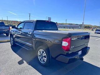 2018 Toyota Tundra Platinum in Grand Falls, New Brunswick - 5 - w320h240px