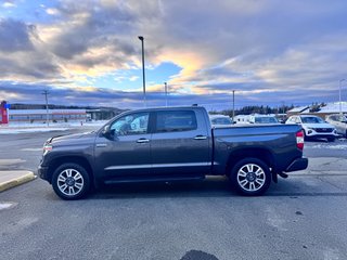2020 Toyota Tundra Platinum in Grand Falls, New Brunswick - 6 - w320h240px