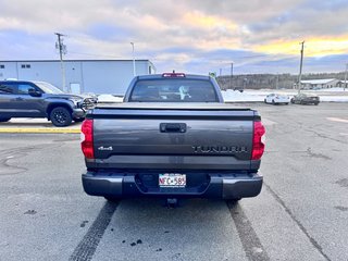 2020 Toyota Tundra Platinum in Grand Falls, New Brunswick - 4 - w320h240px