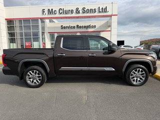Toyota Tundra Platinum 2023 à Grand-Sault, Nouveau-Brunswick - 2 - w320h240px