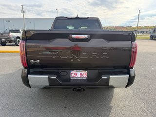 Toyota Tundra Platinum 2023 à Grand-Sault, Nouveau-Brunswick - 4 - w320h240px
