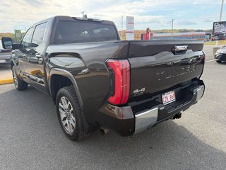 Toyota Tundra Platinum 2023 à Grand-Sault, Nouveau-Brunswick - 5 - w320h240px
