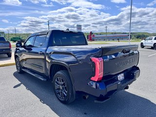 2024 Toyota Tundra Platinum in Grand Falls, New Brunswick - 5 - w320h240px