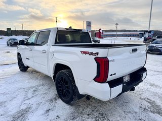 2024 Toyota Tundra SPORT in Grand Falls, New Brunswick - 5 - w320h240px