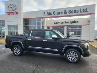 2025  Tundra Platinum 1794 in Grand Falls, New Brunswick - 2 - w320h240px