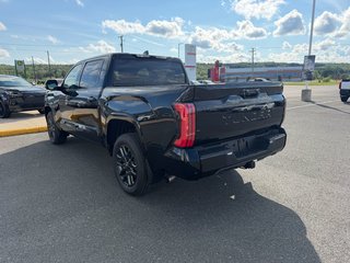 Toyota Tundra PLATINUM 2026 à Grand-Sault, Nouveau-Brunswick - 5 - w320h240px