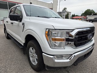 Ford F-150 XLT 4x4 2021 à Mont-Laurier, Québec - 3 - w320h240px