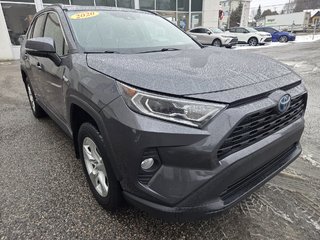 2020 Toyota RAV4 Hybrid XLE in Mont-Laurier, Quebec - 3 - w320h240px