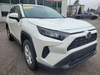 Toyota RAV4 Hybride LE (AWD) 2021 à Mont-Laurier, Québec - 3 - w320h240px