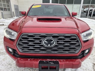 2023 Toyota Tacoma TRD Sport 4X4 V6 in Mont-Laurier, Quebec - 2 - w320h240px