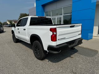2025 Chevrolet Silverado 1500 in Sturgeon Falls, Ontario - 3 - w320h240px