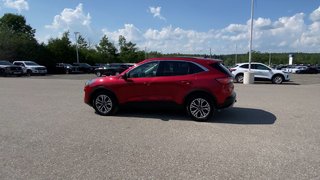 Ford Escape SEL 2020 à Alliston, Ontario - 6 - w320h240px