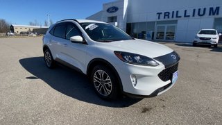 Ford Escape SEL 2020 à Alliston, Ontario - 2 - w320h240px