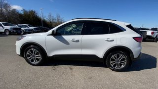 Ford Escape SEL 2020 à Alliston, Ontario - 5 - w320h240px