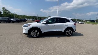 Ford Escape SEL 2022 à Alliston, Ontario - 5 - w320h240px