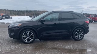 Ford Escape SEL 2022 à Alliston, Ontario - 5 - w320h240px